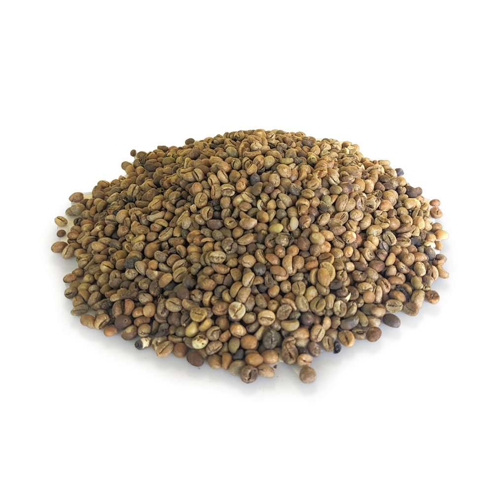 Café criollo despulpado en granos secos (1 kg / 2.2 lb)