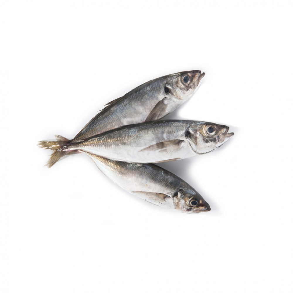 Jurel entero (1 kg / 2.2 lb)