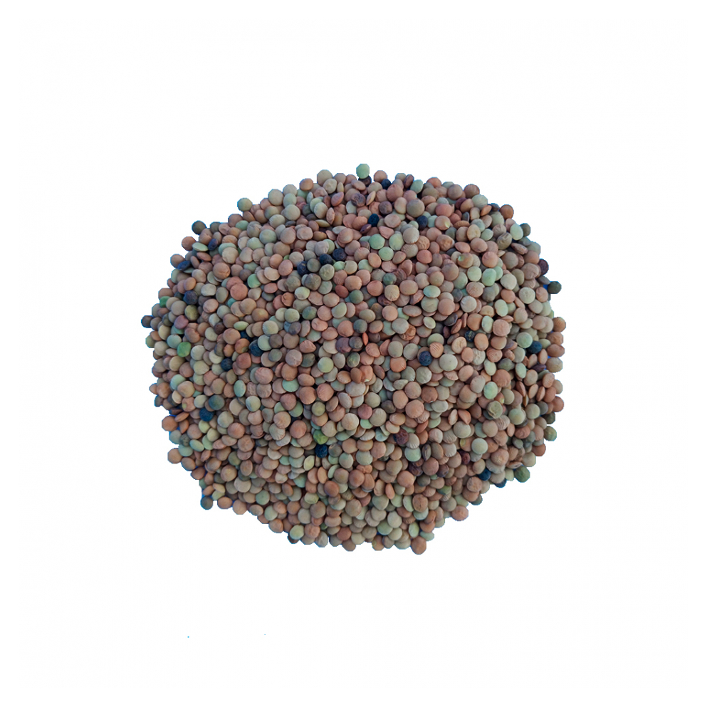 Lentejas (1.81 kg / 4 lb)
