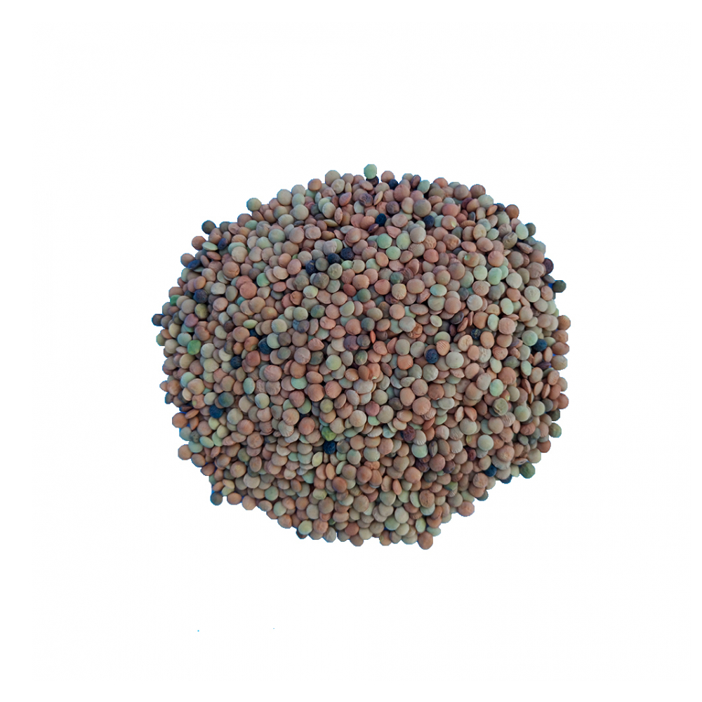 Lentejas (2.26 kg / 5 lb)