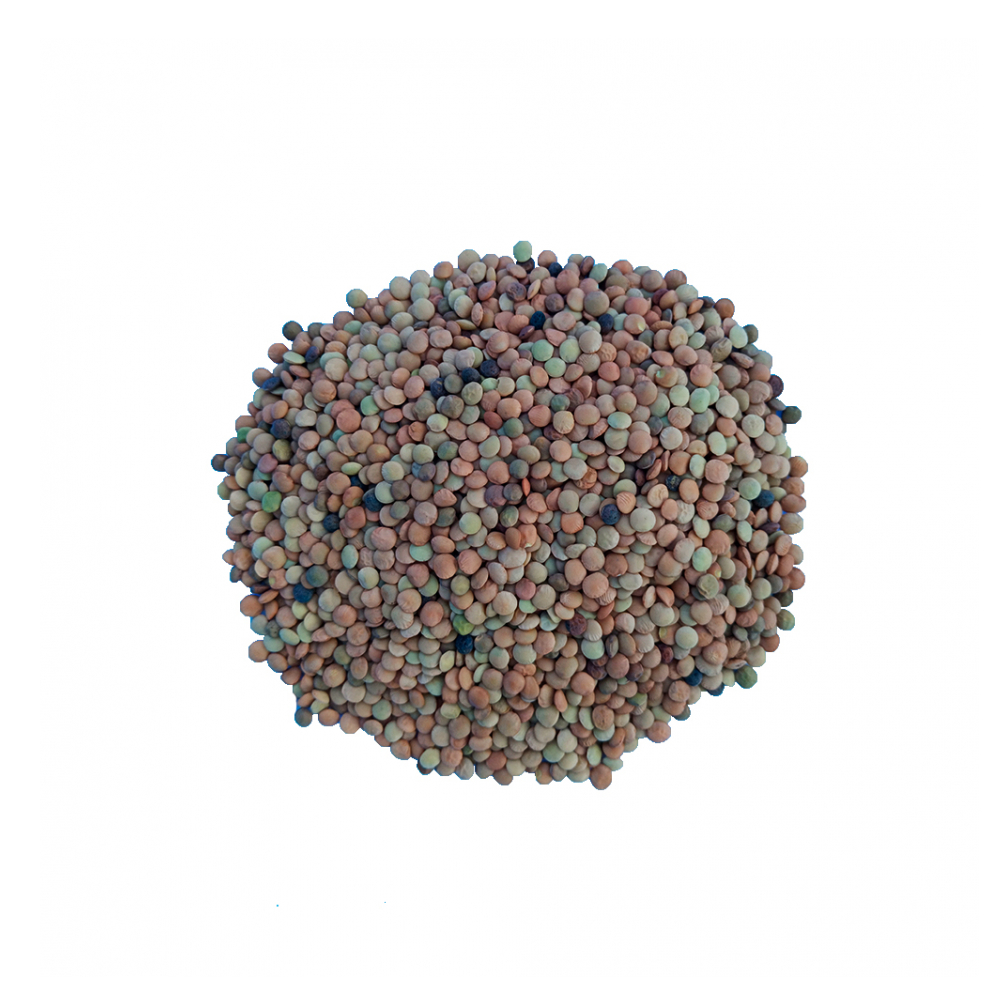 Lentejas (2.72 kg / 6 lb)