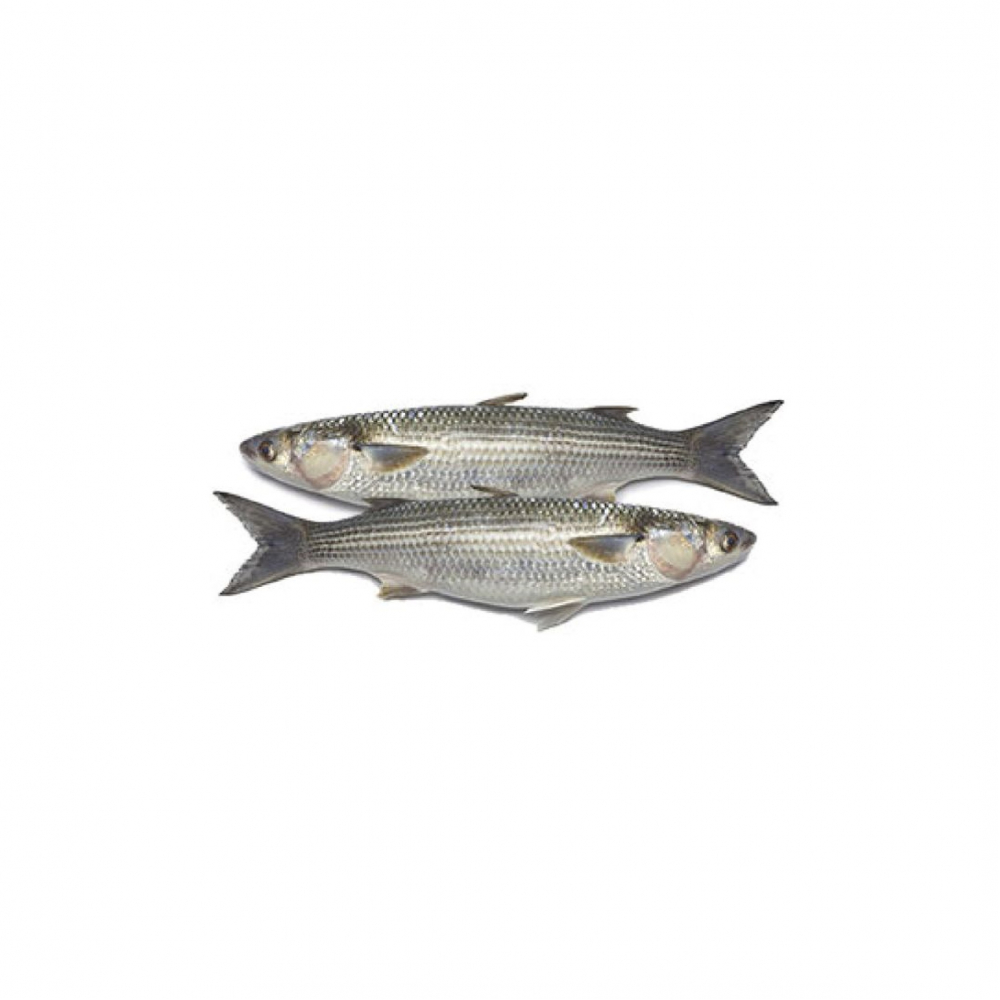 Pescado Lisa limpio entero (1 kg / 2.2 lb)