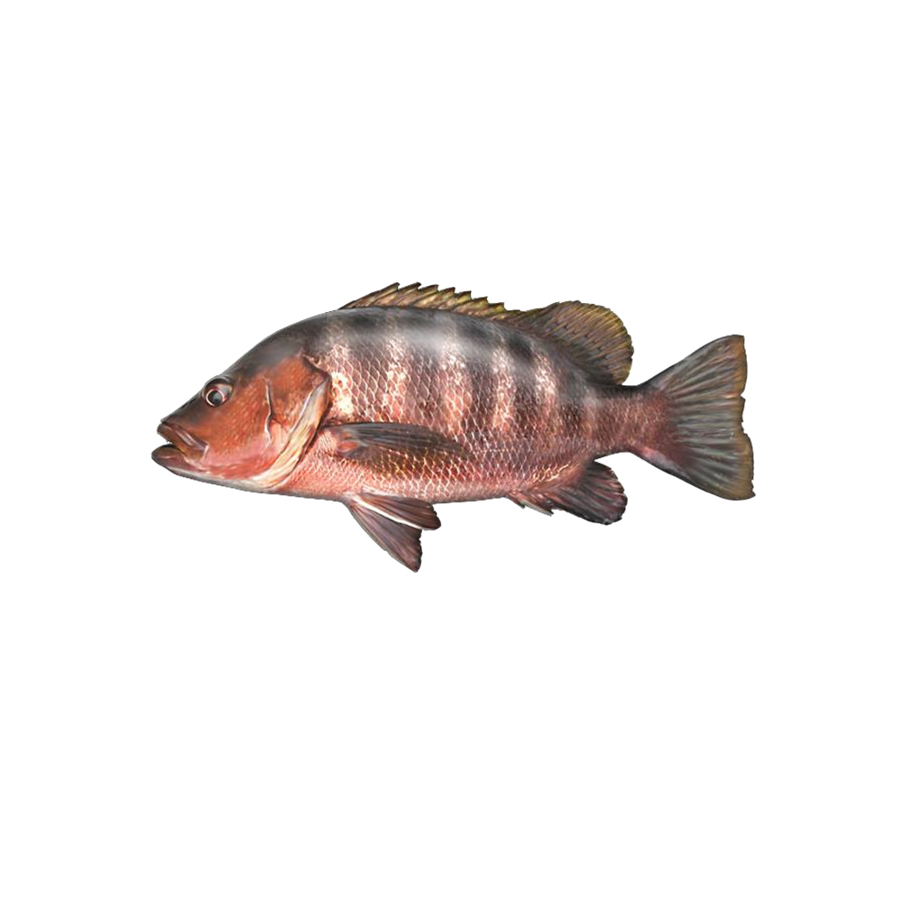 Pescado Pargo Cají entero (2.27 kg / 5 lb)