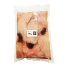 Tiburón Mayra (1 kg / 2.2 lb)