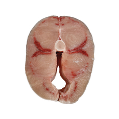 Rueda de pescado Emperador (1 kg / 2.2 lb)