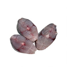 Rueda de pescado sierra (1 kg / 2.2 lb)