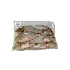 Pargo entero escamado (2 kg / 4.4 lb)
