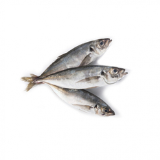 Jurel entero (1 kg / 2.2 lb)