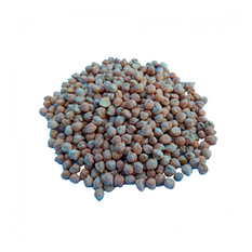 Garbanzos (1.5 kg / 3.3 lb)