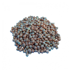 Garbanzos (2 kg / 4.4 lb)