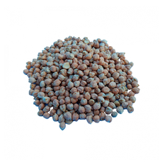 Garbanzos (453 g / 1 lb)