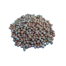 Garbanzos (907 g / 2 lb)