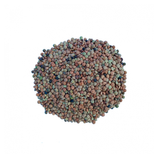 Lentejas (500 g / 1.1 lb)