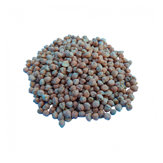 Garbanzos (3 kg / 6.61 lb)