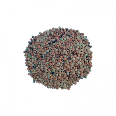 Lentejas (1 kg / 2.2 lb)