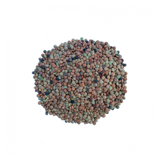 Lentejas (1.36 kg / 3 lb)