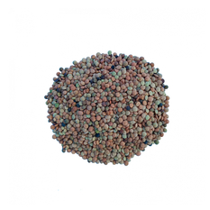 Lentejas (2.72 kg / 6 lb)