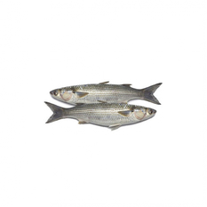 Pescado Lisa limpio entero (1 kg / 2.2 lb)