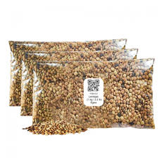 Lentejas (3 x 1 kg / 2.2 lb)