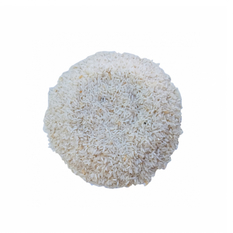 Arroz criollo MCH (907 g / 2 lb)