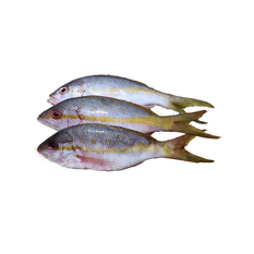 Pescado Rabirrubia entero (2.26 kg / 5 lb)