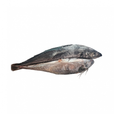 Pescado entero Jurel (2 kg / 4.4 lb)
