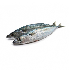 Pescado Jurel entero (4.01 kg / 8.8 lb)