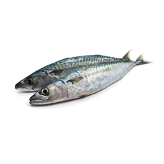 Pescado Jurel entero (2.04 kg / 4.49 lb)